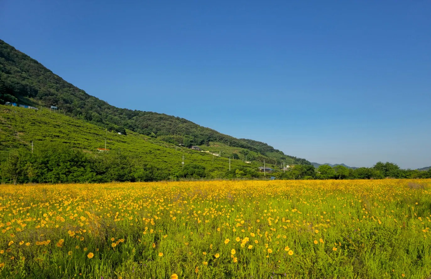 배경사진1
